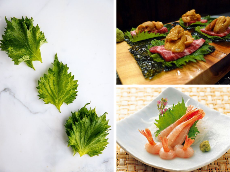 gia vị Nhật gia vị Nhật